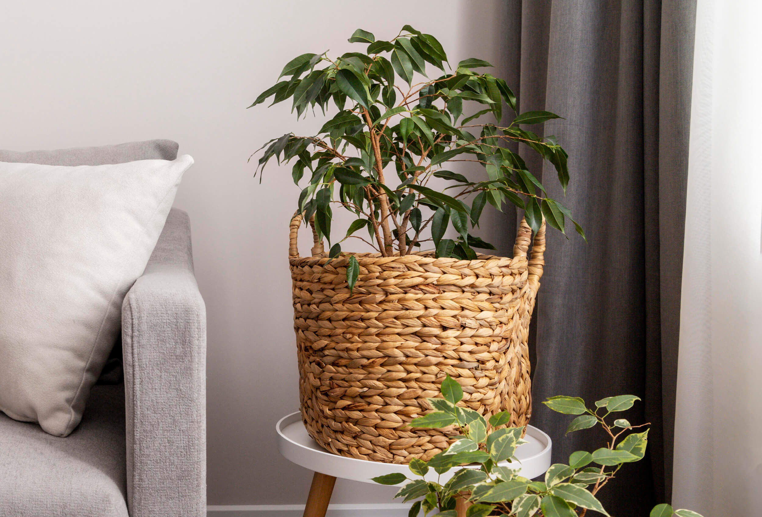 How to Freshen up Your Apartment for the New Year